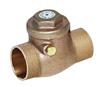 2" CC CHECK VALVE