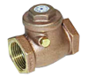 2-1/2 IPS CHECK VALVE